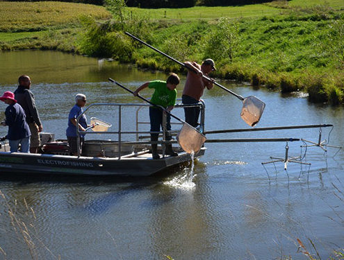 Schedule your spring electrofishing today