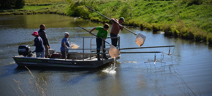 Schedule your spring electrofishing today