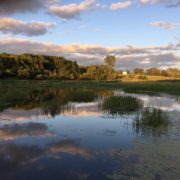 The Heat is On! Will Your Pond Keep Its Cool?