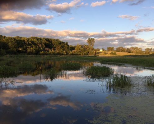 The Heat is On! Will Your Pond Keep Its Cool?