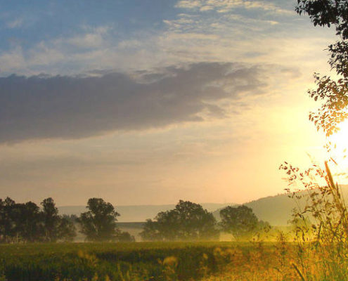 New Day, New Website