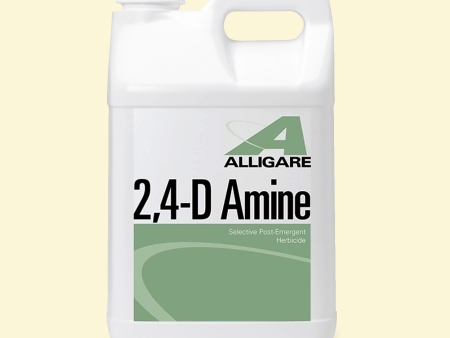 2-4-D Amine Herbicide 1 gal Jug