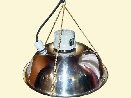 BoJo Chainlight Fishlight