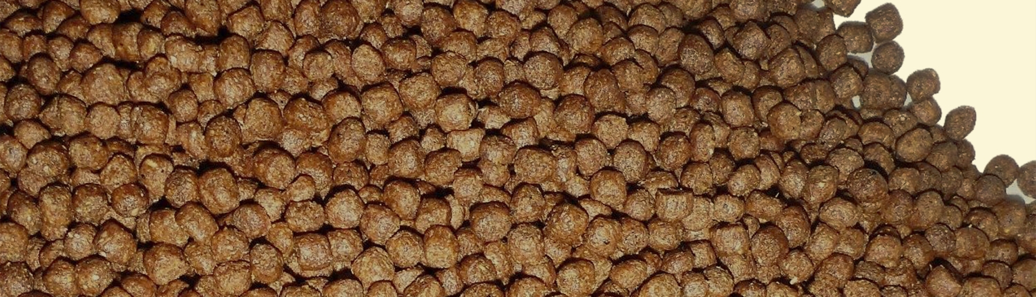 Fish Food