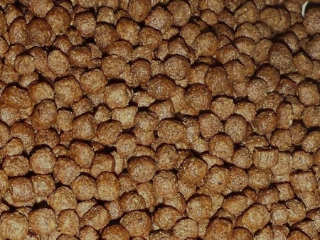 Fish Food