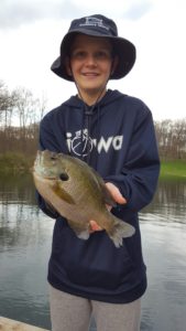 Graham-Bluegill