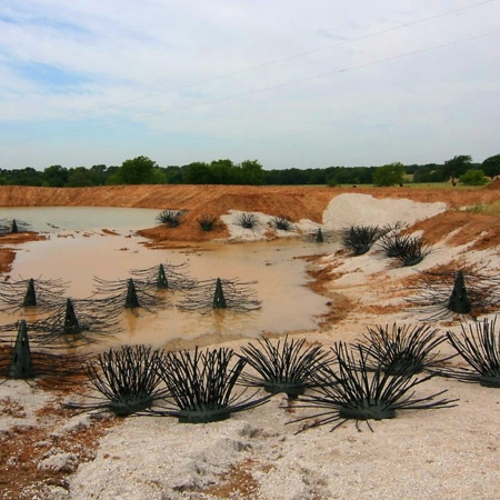 Honey Hole Shrub-Placed