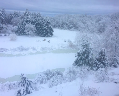 get your pond-winter-ready