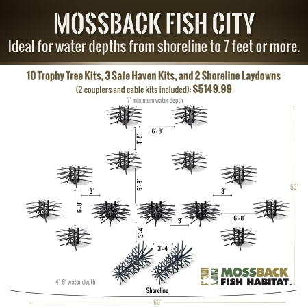 Mossback Fish City