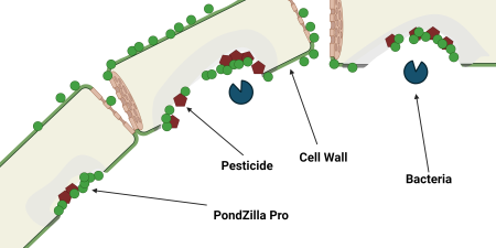 PondZilla Pro – 1 gal Jug - Image 2