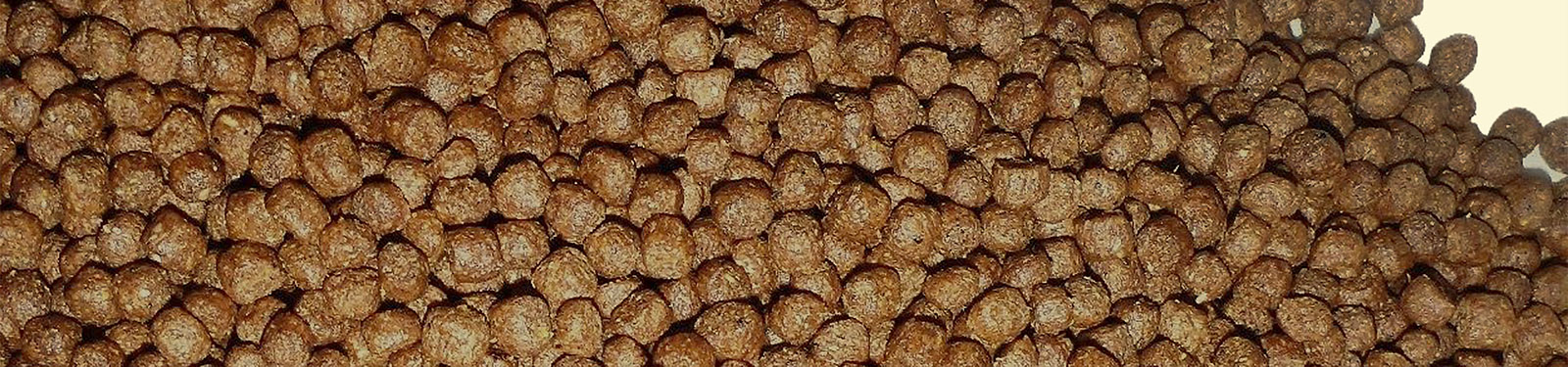 Store Category-Fish-Food