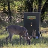 Texas Hunter Hide-A-Way Stand & Fill Wildlife Feeders - Image 4