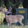 Texas Hunter Hide-A-Way Stand & Fill Wildlife Feeders - Image 3