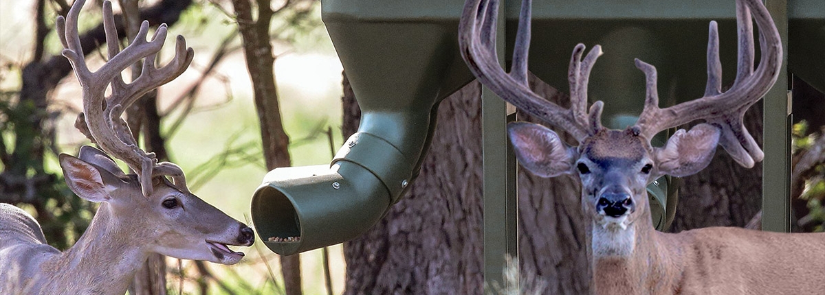 Wildlife Feeders