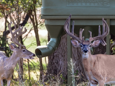 Wildlife Feeders