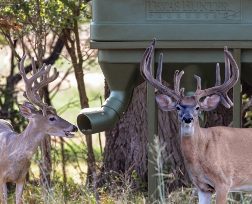 The Shows Will Go On